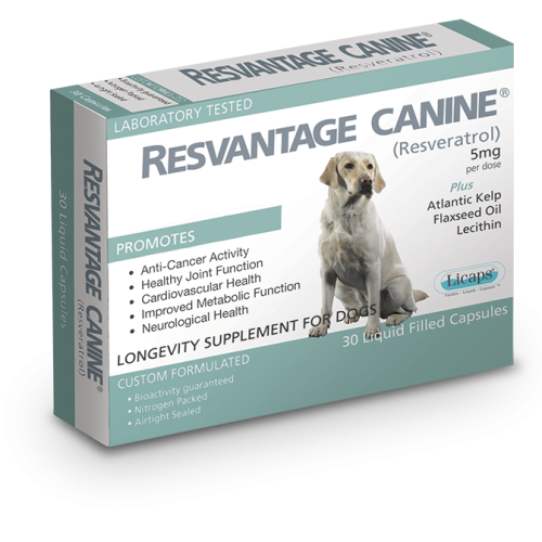 Resvantage® 維蘆醇 白藜蘆醇 (狗用) 30粒